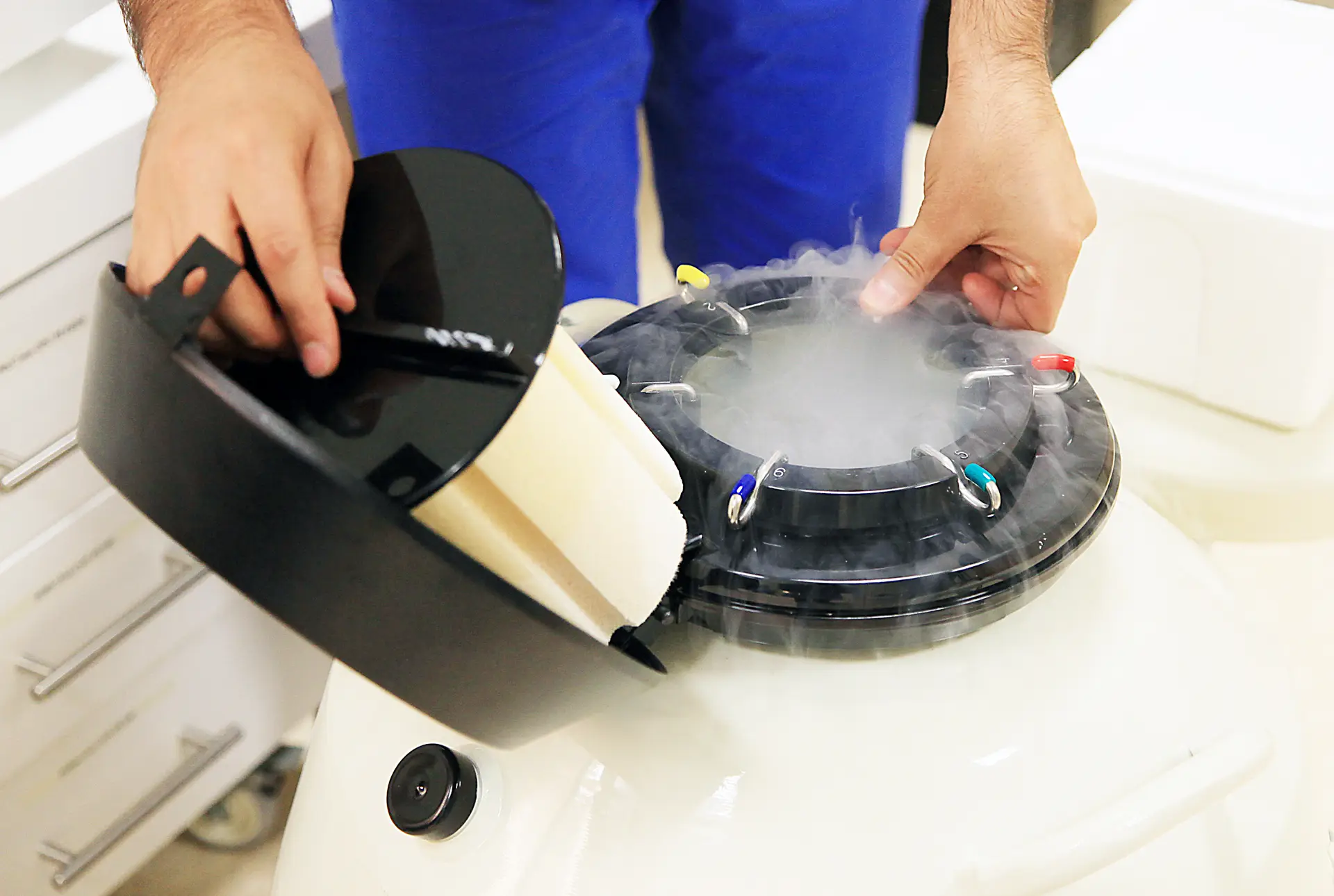 Cryogenic egg-storage preparation